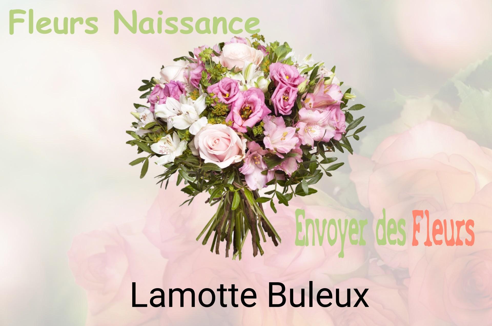 Bouquet de fleurs de naissance livré à Lamotte-Buleux